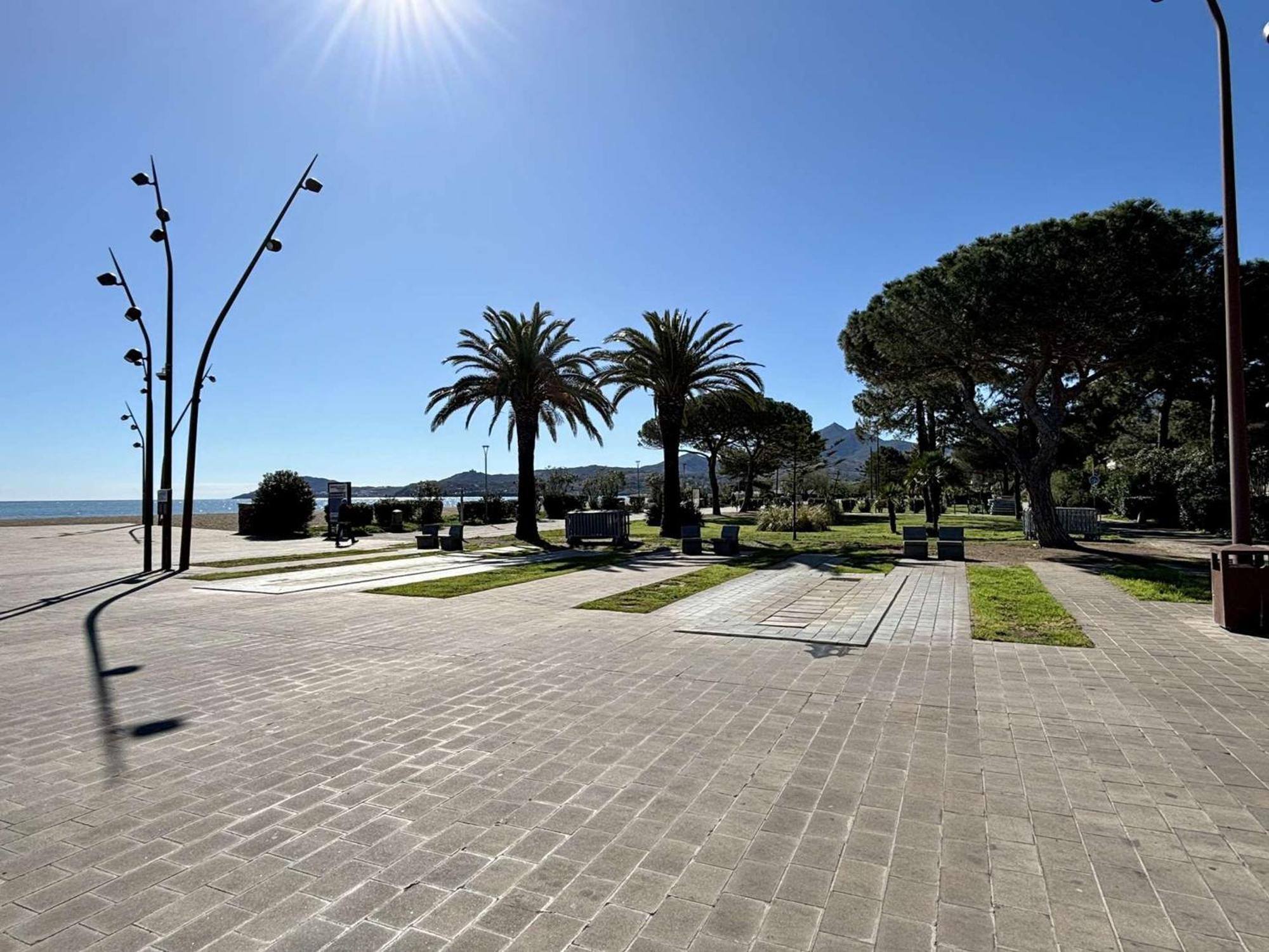Studio/Cabine 4 Pers, Piscine, Proche Mer, Argeles-Sur-Mer - Fr-1-225-33 Eksteriør billede